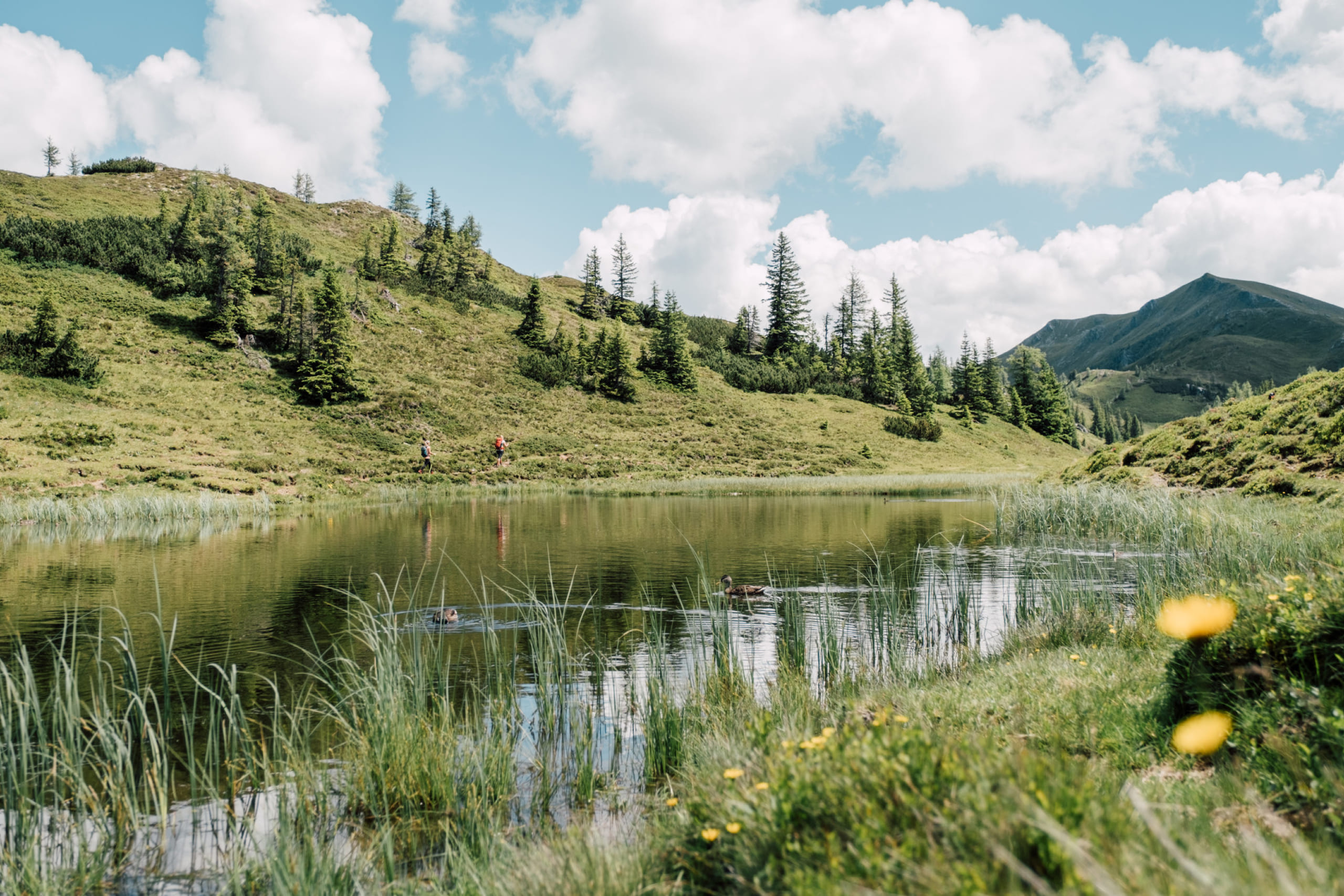 Großarl Almenweg © SalzburgerLand Tourismus - Chris Perkles